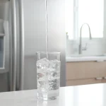 Refrigerator dispenser with clear ice and filtered water